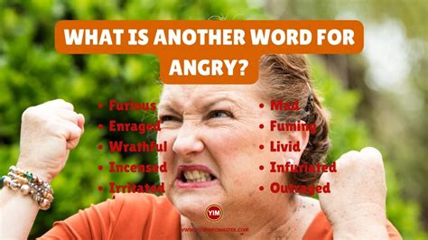 singla synonym|What is another word for single